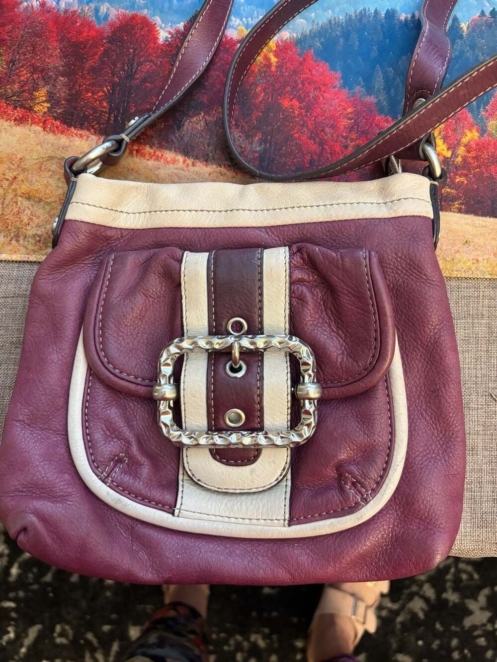 B. Makowsky Purple and Beige Leather Organizer Crossbody Bag